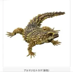 いきもの大図鑑アドバンス SELECTED EDITION 02アルマジロトカゲのサムネイル