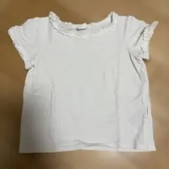 白無地のTシャツのサムネイル