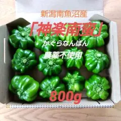 新潟南魚沼産神楽南蛮800g農薬不使用のサムネイル