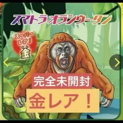 KK様 リクエスト 3点 まとめ商品