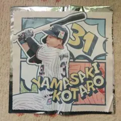 山崎晃大朗 クリーナー