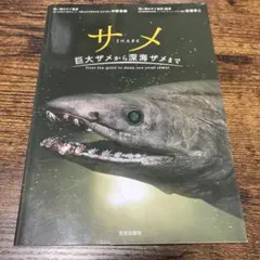 Item thumbnail for item a4659415-b765-4c67-91fc-581c6bc16168