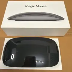 【純正・廃盤】Apple Magic Mouse 2 スペースグレイ 箱付き