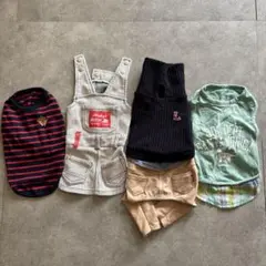 犬用服セット ３キロ小型犬　男の子