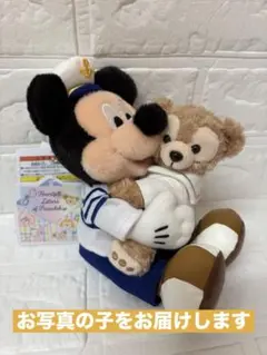 新品　ぬいぐるみバッジ　ミッキー＆ダッフィー　２０周年　ディズニーリゾート