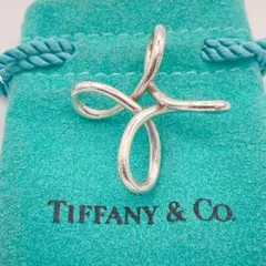 tukinomadoka 様専用Tiffany&Co. インフィニティクロス