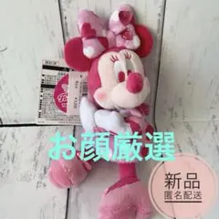 ディズニー　パルパルーザ　ぬいぐるみバッジ　ぬいば　ミニー　ファンダーランド