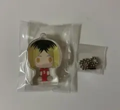 ハイキュー!! 孤爪研磨