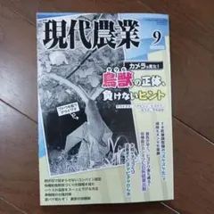 Item thumbnail for item 5196d307-77c0-433c-9aa4-a36b5df12691