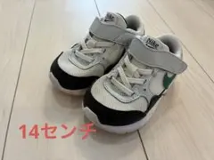 Item thumbnail for item a5fa1be1-be1f-4628-9f1f-d9375c57c6ba