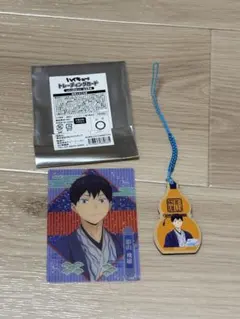 ハイキュー　レッツゴーキョート　影山飛雄