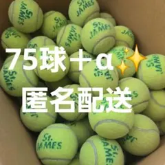 75공+α 중고 테니스공 던롭 세인트제임스 하드볼