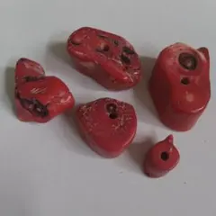 山珊瑚 コーラルビーズ 5個 赤色 パワーストーン