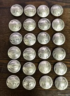 2025年最新】バッファロー5セントの人気アイテム - メルカリ