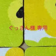ぐっさん様 専用