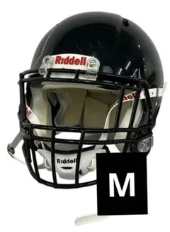 Item thumbnail for item 51bfe160-306a-4ae3-8938-d7e30c731994