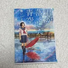 Item thumbnail for item 028e9bb2-6268-456b-9e36-b0fce698794c