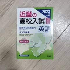 Item thumbnail for item 445c431e-6bee-4162-88f1-cf7f8c8fc45d