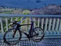 BMC timemachine TM01 カンパニョーロ　完成車（ホイール無し） BMC timemachine TM01 カンパニョーロ 完成車（ホイール無し）