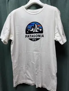 PATAGONIA スリムフィット Tシャツ S