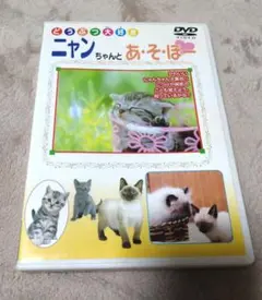ニャンちゃんとあ・そ・ぼ DVD
