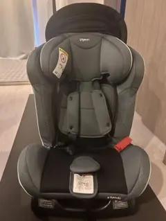 Item thumbnail for item e0eacd79-b944-487d-81da-2d60503dabf6