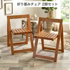廃盤品 IKEA TERJE 折りたたみチェア 2脚セット イス イス - メルカリ