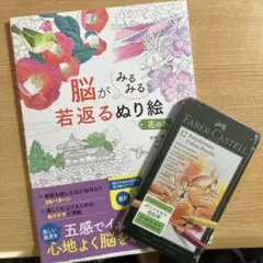 脳がみるみる若返るぬり絵と色鉛筆セット