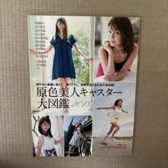 【美品・初版・匿名発送】原色美人キャスター大図鑑 2018