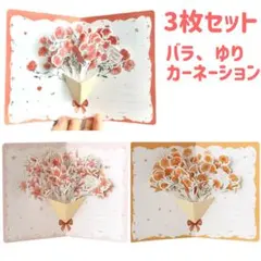 3枚セット　ポップアップカード　メッセージカード感謝状　立体グリーティングカード