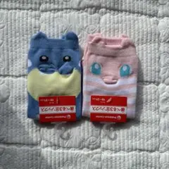 ポケモン キッズ靴下 19-21cm 2足セット