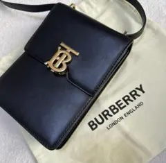 2025年最新】ロビンバッグ burberryの人気アイテム - メルカリ