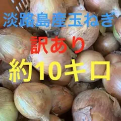 淡路島産玉ねぎ　訳あり　約10キロのサムネイル