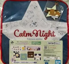 一番くじ ポケモン イーブイ キーホルダー&タオルまとめ売り