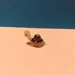 Item thumbnail for item aaa446e5-25b4-40aa-84f4-cbb684b30eb4