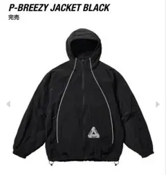 2026年最新】palace ナイロンジャケットの人気アイテム - メルカリ