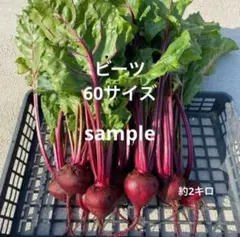 信州産ビーツ】2kg 【有機肥料使用・化学農薬不使用】 - メルカリ