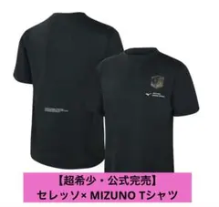【超希少・公式完売】セレッソ大阪 × MIZUNO 移動用Tシャツ（半袖）