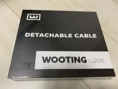 Wooting 着脱式USB-C コイル/ストレートケーブルセット