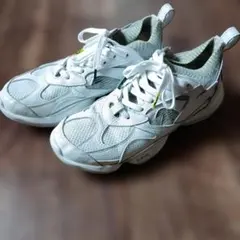 Reebok 3D OP,PRO 　26㎝のサムネイル