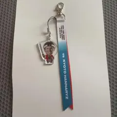 2026年最新】名古屋ダイヤモンドドルフィンズ キーホルダーの人気
