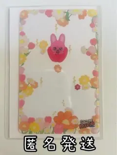 スキズ　SKZOO POPUP 購入特典 クリアトレカ トゥエッキ　チャンビン