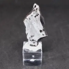 Item thumbnail for item 5238fc84-38f5-4640-af35-9d4be7826248