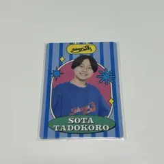 2026年最新】田所蒼大の人気アイテム - メルカリ