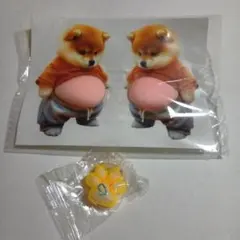 柴犬　お腹ぷにぷに　ぷにぷに　スクイーズ　お腹　ぽっこり　シリコン　肉球