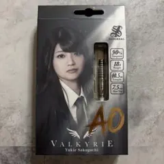 ヴァルキリー 坂口優希恵 2026バレンタイン限定モデル - メルカリ