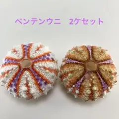 まろん(^з^)-☆様 リクエスト 3点 まとめ商品