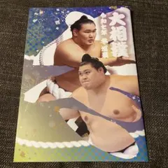 大相撲令和七年冬巡業パンフレット