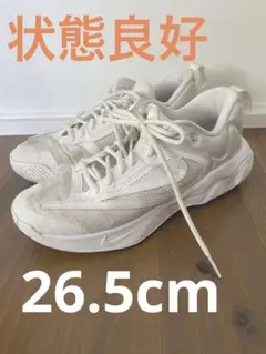 Item thumbnail for item a09a6f97-b869-4f05-a5fb-3acc28490a55