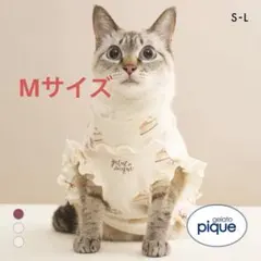 gelato piqueジェラートピケ CAT&DOG オータムケーキ柄のサムネイル
